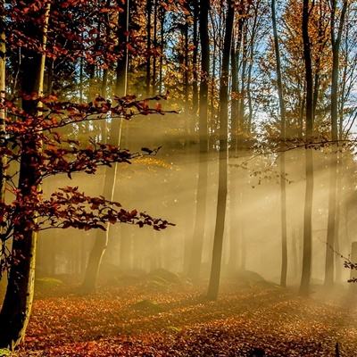 千亿棋牌app下载手机版旗舰版